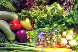 農薬、化学肥料不使用、微生物酵素農法旬の野菜詰め合わせ（6~8品目）