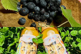 【農薬不使用】フレッシュ！収穫してすぐ発送ブルーベリー&青島みかんストレートジュースセット