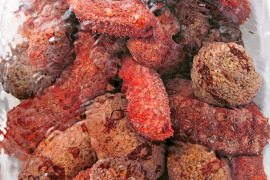 日本海で採れた赤ナマコ1キロ(2〜4個)