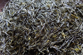 お茶・茶葉　農薬・肥料不使用　緑茶（2023） 煎茶 さやまかおり 新茶 加茂自然農園のお茶