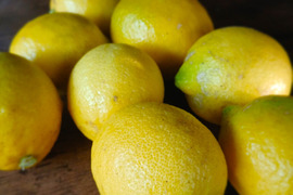 農薬不使用　香り完熟 自然栽培レモン1kg(7個前後）