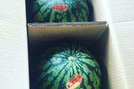 シャキシャキ甘い！味きらら☆丸福すいか（４kg×２玉）