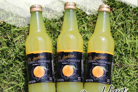 【訳あり】河内晩柑スパークリング340ml×6本