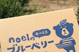 朝採れ新鮮！ブルーベリーMサイズ100g×5