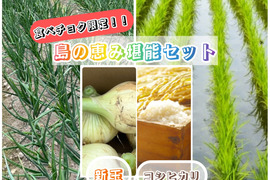 【淡路島の春ギフト】「島の恵み堪能セット」極甘新玉ねぎ５kg＆もっちりコシヒカリ５kg（令和7年度産）