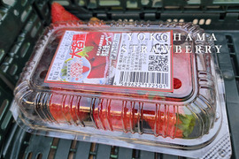 味の濃さが自慢！べにほっぺ中粒～小粒をたっぷり1000g【クール便対応】【ワケアリ】