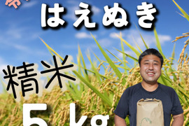 令和8年産　庄内米｢はえぬき｣　精米5㎏　山形県鶴岡市産