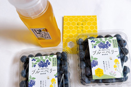 【福袋2025】【18年間農薬不使用】みつばち畑のブルーベリー＆【液だれ防止倒立ボトル】非加熱はちみつのセット（第一弾のみ）