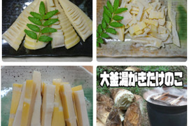 【sasaさん専用】調理の手間なし・穂先たけのこ２，刻みたけのこ１