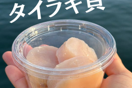 瀬戸のダイヤモンド💎タイラギ貝　(ご家庭用・300g・約10粒前後)