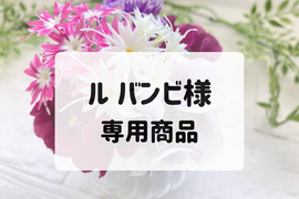ル バンビ様　専用商品　【マイクロリーフ・エディブルフラワー セット】