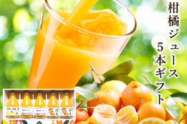 【夏ギフト】ジュース飲み比べ！熟成柑橘5本ギフト