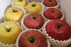 食べ比べ！！青森県産3品種詰合せりんご約3㎏（キャップ8～10個）