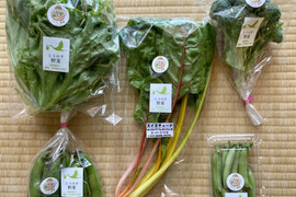 6月旬の野菜セット7種類 農薬・化学肥料不使用♪個包装