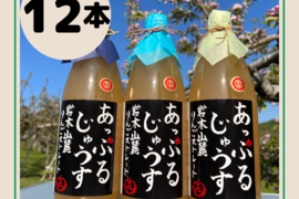 希少品種❗️サンむつのりんごジュース🍹【限定予約販売】リピーター続出中❗️