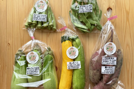 濃甘！野菜セット5種類×2倍量 農薬・化学肥料不使用♪個包装