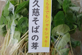 おまけ付き⭐かんたん調理で美味しい!そばの芽60サイズ野菜セット 奥久慈そばの芽