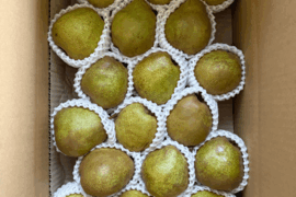 5kg★名和果樹園の訳あり自宅用中玉ラフランス★山形県産L260g以上★産地直送お取り寄せ通販