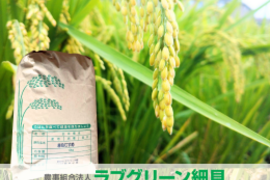 令和7年産 きぬむすめ【白米】 10kg