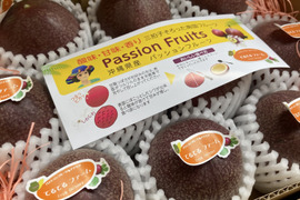 【終了間近】沖縄県産パッションフルーツ1kg 【有機ＪＡＳ認証取得・化学合成農薬不使用】