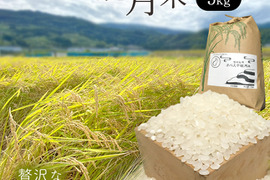 【定期便】棚田のお米　肥料や農薬を抑えて栽培した特別なコシヒカリ。プレミアムブランド「オバステ観月米」(5kg)