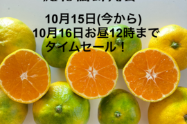 10月15日(今から)10月16日お昼12時までのタイムセール！！　極早生箱込5kg　家庭用小玉2Ｓ以下サイズ　甘酸っぱいフレッシュなお味をお届けします！　瀬戸内の恵み　山口岩国みかん