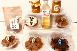 【冬ギフト】最高品　和歌山紀州南高梅５種類  梅製品詰め合せセット