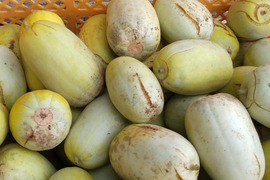 ちょっとだけ食べたい方向け！変わった野菜セット🥒🍆