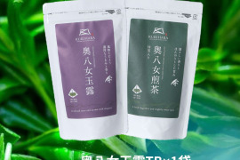 八女茶産直 奥八女玉露ティーバッグ（5g×16袋）と抹茶入り奥八女煎茶ティーバッグ各１個づつ