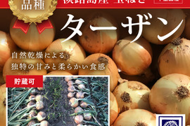淡路島産玉ねぎ　最高品種　ターザン　10キロ