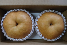 【冬ギフト】鳥取県産 あたご梨 2玉入り（約2kg）