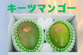 【幻のマンゴー】宮古島キーツマンゴー