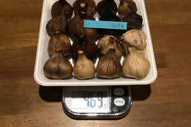 い 自然栽培 黒にんにく サイズいろいろ 16個 良い仕上がりです 人気の黒ニンニクです 食べやすくて美味しい