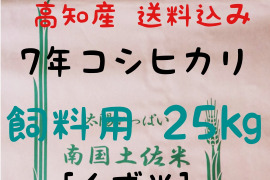 令和7年産 高知県産 新米コシヒカリ(飼料用くず米) 玄米25㎏(袋込み)