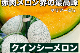 赤肉メロン界の最高峰　マリアージュ
熊本県産クインシーメロン2玉　3kg以上