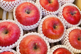 【予約】ふじりんご　信州安曇野市産　家庭用訳あり　5㎏箱　約12〜20玉