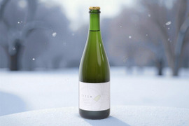 新定番！料理がおいしい梅ワイン　自然栽培の梅100%使用(無添加)
Japanese apricot sparkling wine 'TIES+' 750ml　5本セット