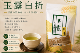 【新茶】数量限定｜玉露の旨みを、もっと気軽に。