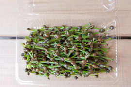 【珠味（たまみ）】青森県産　ミズの実（ミズの子） 250g