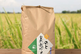 【令和5年度収穫米】 のと自然栽培米 プリンセスサリー 白米 5キロ