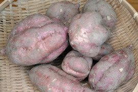 【数量限定】IdeaFarmのねっとり甘い安納芋　 4㎏