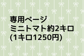 C様専用ページ　ミニトマト約2キロ　常温便