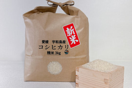 【令和6年度産】新米 コシヒカリ ３㎏ ＊特別栽培米＊