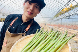山水で育てたアスパラ　対馬の雫　（２L~3L）