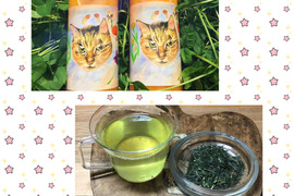 期間限定価格‼️【ギフトにどうぞ】ねこ農園のみかんのストレートジュース&手摘み新茶100gセット