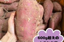 【訳あり】紅はるか3Lサイズ／15kg