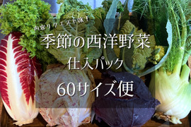 季節の西洋野菜 仕入パック 60サイズ