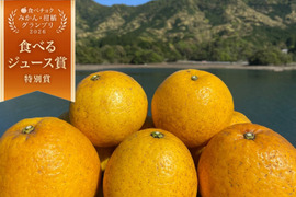 箱込み2kg 河内晩柑（あまくさ晩柑）栽培期間中に農薬、化学肥料不使用　【熊本県天草特産】