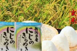 新米　令和7年産　お米　米　新潟県産　にじのきらめき　玄米　10キロ　10kg (nijinokirameki-10kg-g)