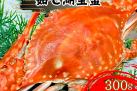 【浜名湖産】茹で湖宝蟹(本渡り蟹)１杯約200～500ℊ詰め合わせて1kg